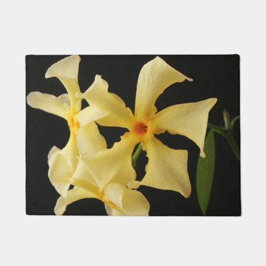 Star Jasmine Flowers dmcnm Deurmat (Voorkant)