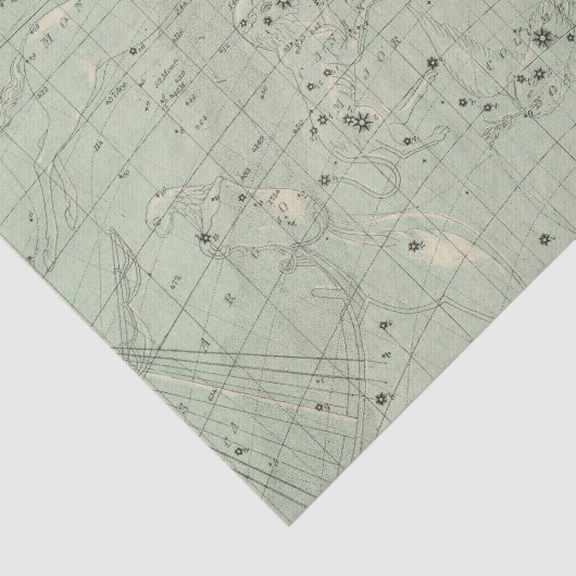 Star-kaart 2 tissuepapier (Detail)