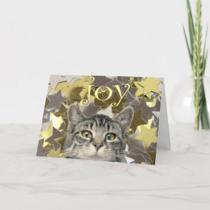 Star Kitten Feestdagen Kaart