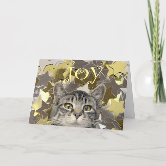 Star Kitten Feestdagen Kaart (Voorkant)