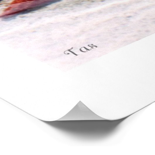 Star Light, Star Bright door TDGallery Poster (Hoek)