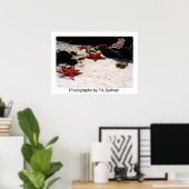 Star Light, Star Bright door TDGallery Poster (Thuiskantoor)