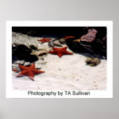 Star Light, Star Bright door TDGallery Poster (Voorkant)