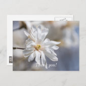 Star Magnolia Bloom Hartelijk dank Briefkaart (Voorkant / Achterkant)