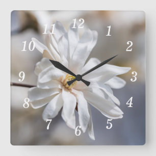 Star Magnolia Bloom Wandklok