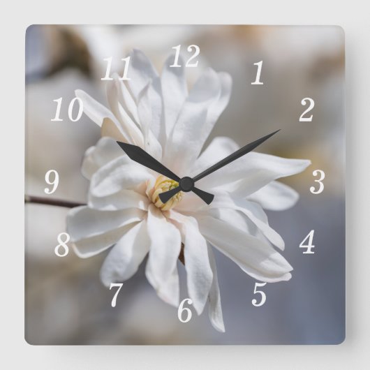 Star Magnolia Bloom Wandklok (Voorkant)