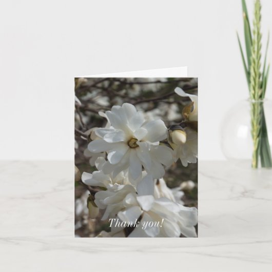 Star Magnolia Blooms Bedankkaart (Voorkant)