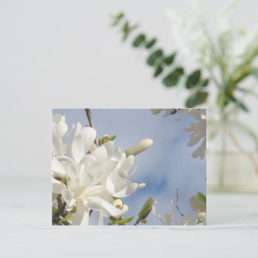 Star Magnolia Briefkaart (Staand voorkant)
