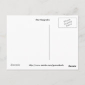 Star Magnolia Briefkaart (Achterkant)