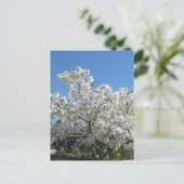 Star Magnolia Briefkaart (Staand voorkant)