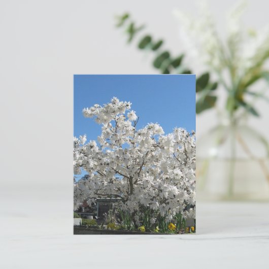 Star Magnolia Briefkaart (Staand voorkant)
