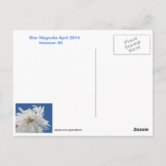 Star Magnolia Briefkaart (Achterkant)