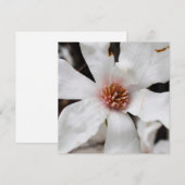 Star Magnolia Kaart (Voorkant / Achterkant)