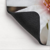 Star Magnolia Muismat (Hoek)