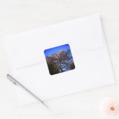 Star Magnolia Stickers (Envelop)