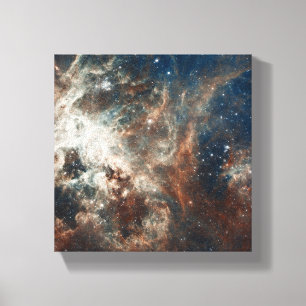 Star Maker Canvas Afdruk