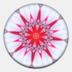Star of Hope Mandala Ronde Sticker