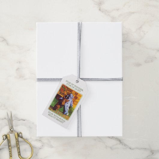 STAR OF WONDER Cadeau Labels Cadeaulabel (Met Touw)