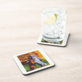 STAR OF WONDER Hard Plastic Onderzetters (Rechterzijde)