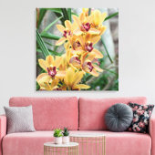 Star Orchids Canvas Afdruk (Insitu (Woonkamer))