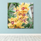 Star Orchids Canvas Afdruk (Insitu (Houten vloer))