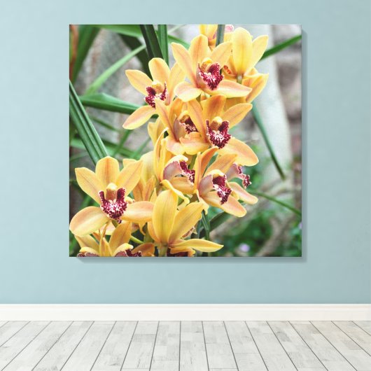 Star Orchids Canvas Afdruk (Insitu (Houten vloer))