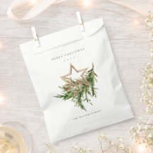 Star Ornament Pine Branch Fauna Merry Kerstmis