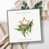 Star Ornament Pine Branch Fauna Merry Kerstmis Feestdagenkaart