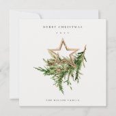 Star Ornament Pine Branch Fauna Merry Kerstmis Feestdagenkaart (Voorkant)