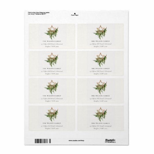 Star Ornament Pine Fauna Merry-kerstadres Etiket (Full Sheet)