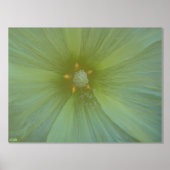 Star Pollen Gold Folie Print (Voorkant)