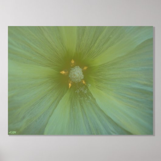 Star Pollen Gold Folie Print (Voorkant)