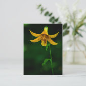 Star Pose-Briefkaart Briefkaart (Staand voorkant)