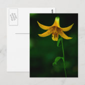 Star Pose-Briefkaart Briefkaart (Voorkant / Achterkant)