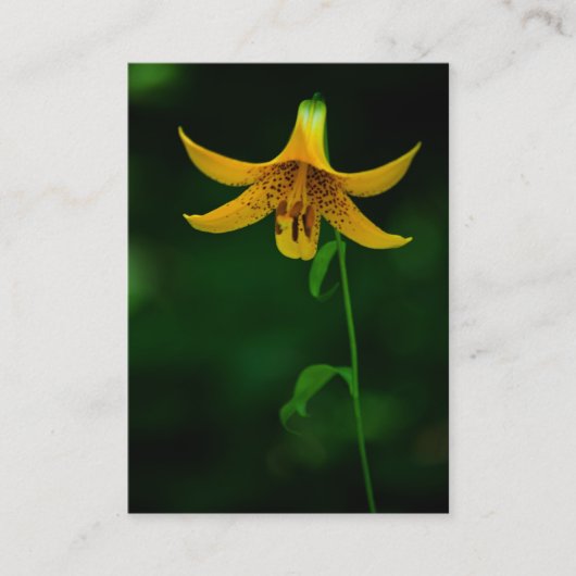 Star Pose Mini Print Visitekaartje (Voorkant)