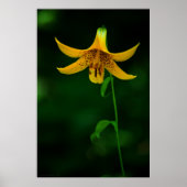 Star Pose Print (Voorkant)