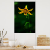 Star Pose Print (Keuken)