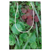 STAR QUALITY GIFT BAGS /SMALL-MEDIUM-LG-WIJNgroott Medium Cadeauzakje (Voorkant)