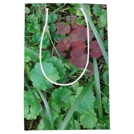 STAR QUALITY GIFT BAGS /SMALL-MEDIUM-LG-WIJNgroott Medium Cadeauzakje (Voorkant)