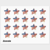Star Spangled-banner Ster Sticker (Vel)