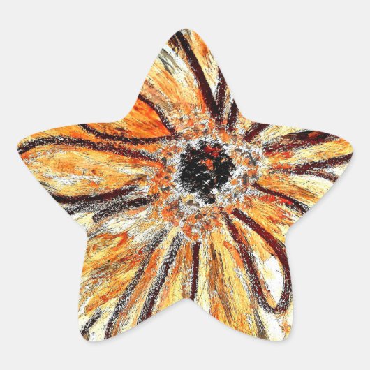 Star Stickers Gerbera (Voorkant)
