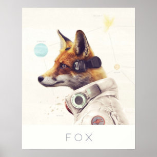 Star Team Fox Poster