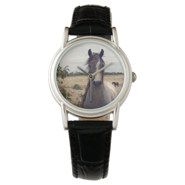 Star The Arab Horse Horloge (Voorkant)