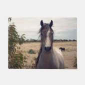 Star The Arab Pony, Deurmat (Voorkant)