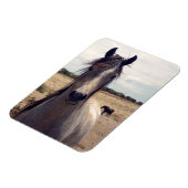 Star The Arab Pony, Flexible Magnet Magneet (Linkerzijde)