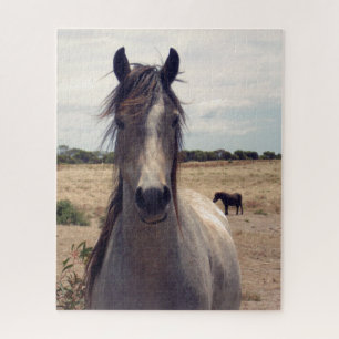 Star The Arab Pony, Jigzaag Puzzle Legpuzzel