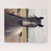 Star The Arab Pony, Jigzaag Puzzle Legpuzzel (Horizontaal)