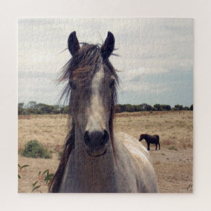 Star The Arab Pony, Legpuzzel