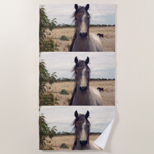 Star The Arab Pony, Strandlaken (Voorkant)