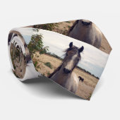 Star The Arab Pony, Stropdas (Opgerold)